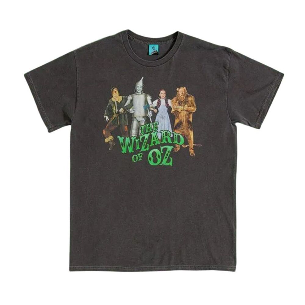 The Wizard Of Oz Unisex Adult Line Up Vintage Wash Back Print T-Shirt / Charcoal